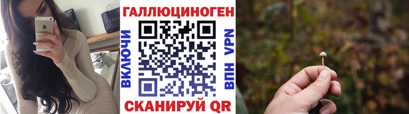 ссылка на мегу как зайти  Ельня  Галлюциногенные грибы Cubensis  цена наркотик 